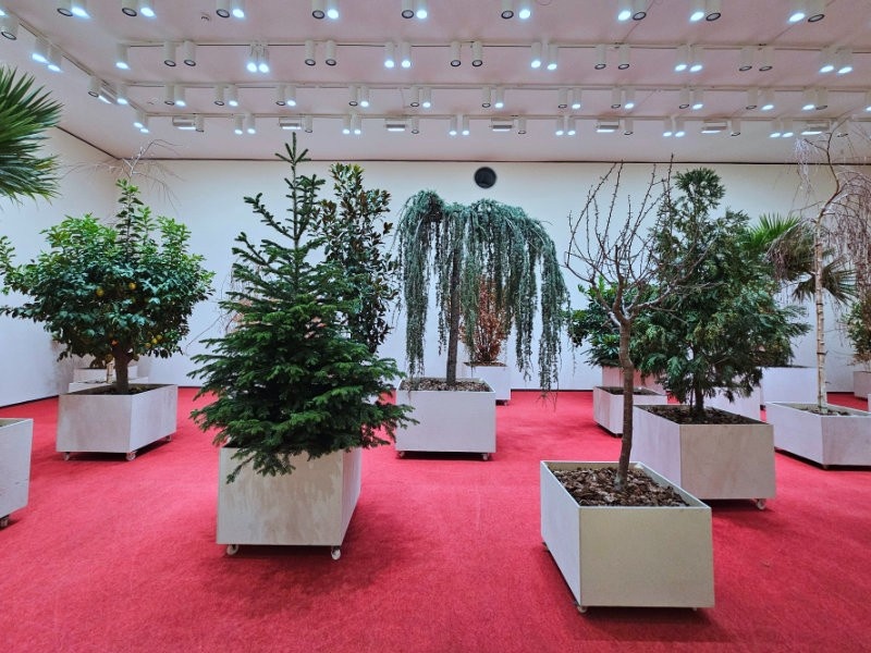 Vistas de las obras de los artistas Asad Raza y Gabriel Chaile en el museo.